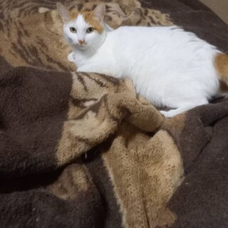 トライアル決定！目が虹のように綺麗な虹君★