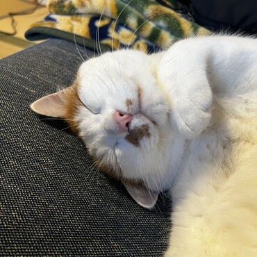 ︎︎                                                                             ︎︎︎                                                                             ︎︎︎                                                                             ︎