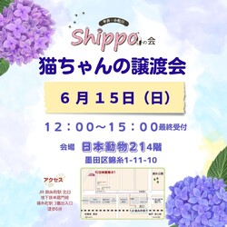 ひらこましっぽの譲渡会（錦糸町 日本動物21）