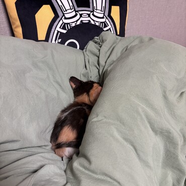 Do not disturb