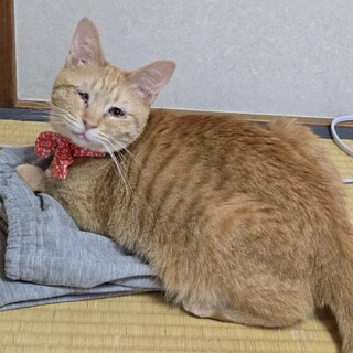 人が大好き！甘えん坊で離れたくない❤︎ミツちゃん