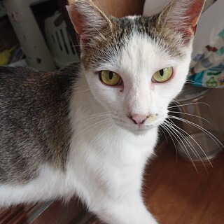 スタイリッシュな甘えん坊はるちゃん♪