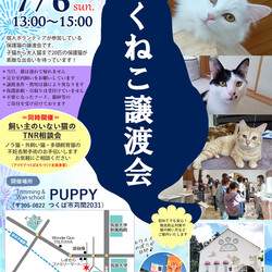 つくねこ譲渡会