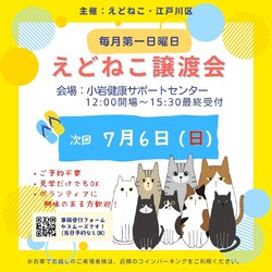 えどねこ譲渡会 江戸川区保健所（小岩健康サポートセンター）