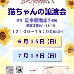 ひらこましっぽの譲渡会（錦糸町 日本動物21）