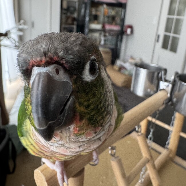 ミズユのカバー写真