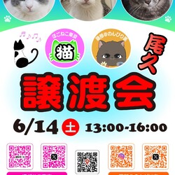 ほごねこ東京譲渡会＠尾久