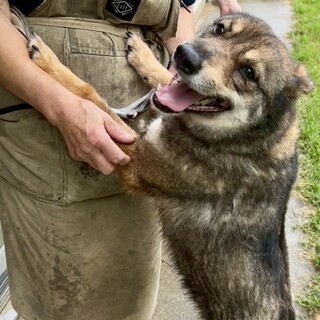 人が大大大好き♡五月ちゃん