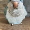 の写真