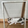 の写真
