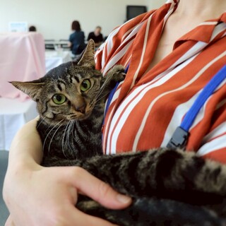 可能性を秘めた可愛い子　りっか