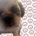 急募！　知り合いから預かっています。