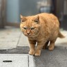 タカサワ1104 さん