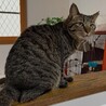 怖がりだけど遊ぶの大好きタルちゃん サムネイル2