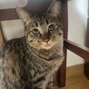 怖がりだけど遊ぶの大好きタルちゃん サムネイル4