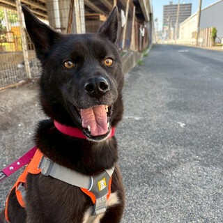 本当は甘えん坊な【ボク】くん