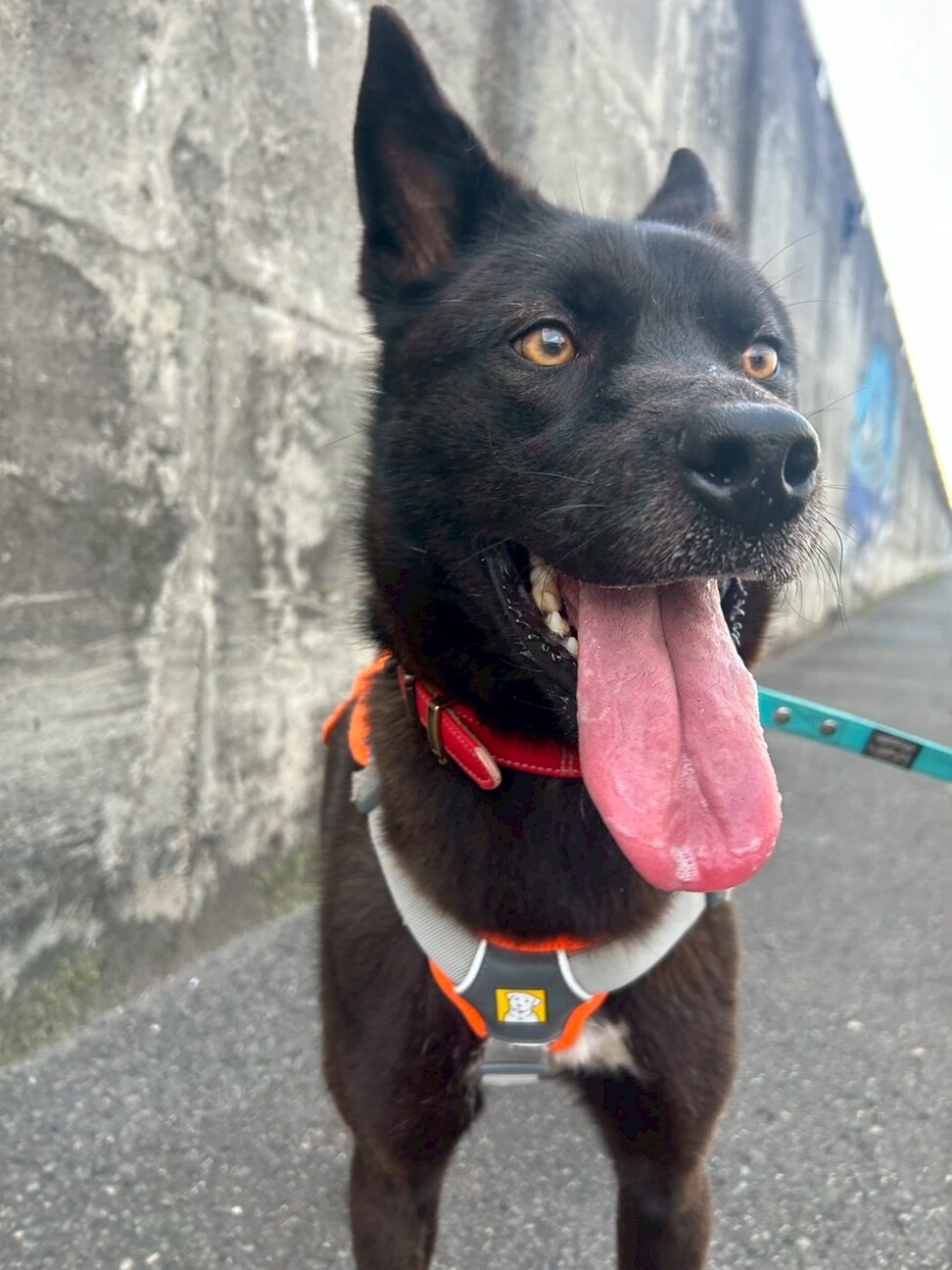 本当は甘えん坊な【ボク】くん サムネイル7