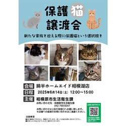 相模原市生活衛生課主催　保護猫譲渡会