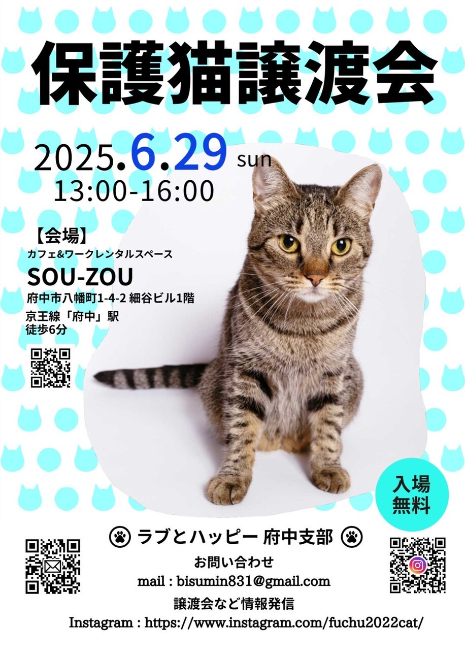 ラブとハッピー府中【保護」（保護猫広場ラブとハッピーのイベント