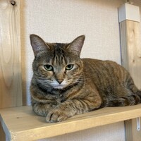 えん