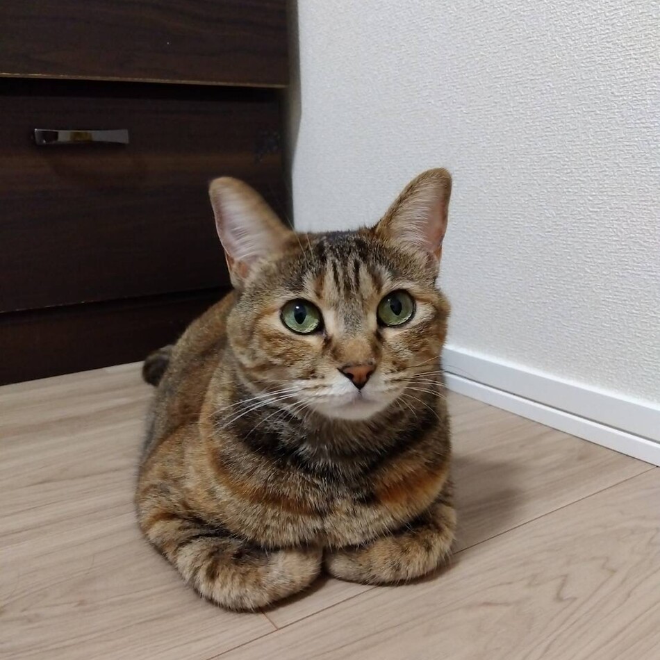 えんのカバー写真