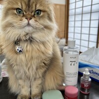 まるてん