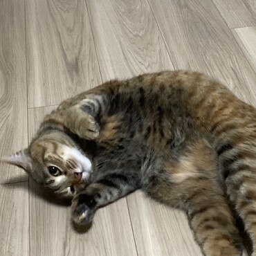の写真