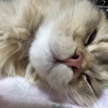 まるてんの写真