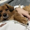 の写真