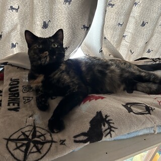 ウールサッキングがありますが甘えん坊の女の子