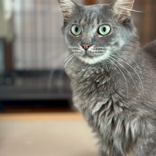 ゴージャス美女のジャスミンちゃんです！