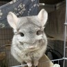 たれぞ