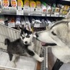 なちゃま