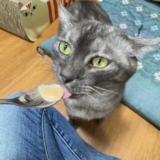 高嶺の「さんご」さん