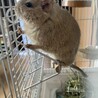 こつです さん