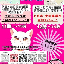 猫の里親会in名張❣ サムネイル3