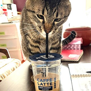 愉快なハンサム青くん！