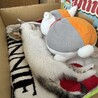 の写真