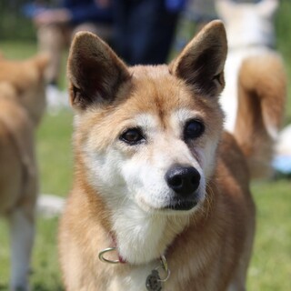 天然系・のほほんとした可愛さ♡ふみちゃん♡