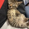 爪切りのあと
