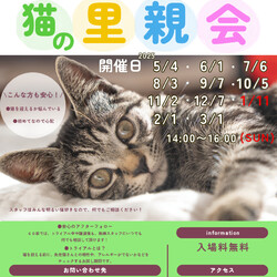猫の里親会