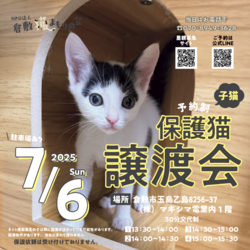 保護猫譲渡会（予約制）