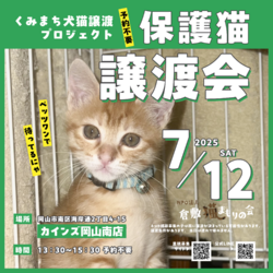 保護猫譲渡会（予約不要）