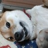  さん
