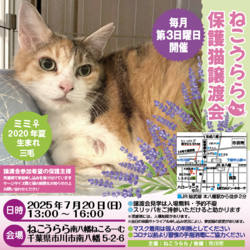 ねこうらら 保護猫譲渡会