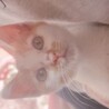 ベストショットです！