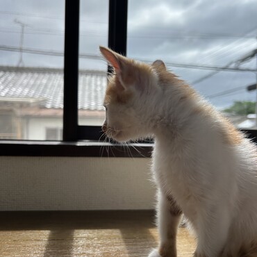 特に横顔がめちゃくちゃ可愛いんです！