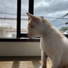 特に横顔がめちゃくちゃ可愛いんです！