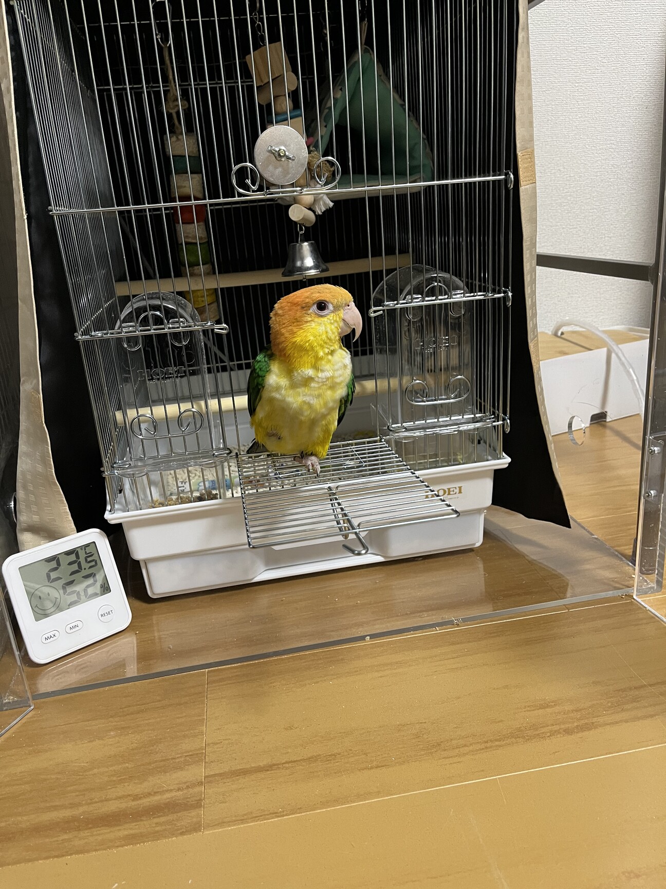 リクエストNO.8☆シロハラインコ他8点セット 【公式通販】