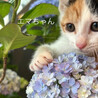 ちょっぴり怖がりエマちゃん！ サムネイル2
